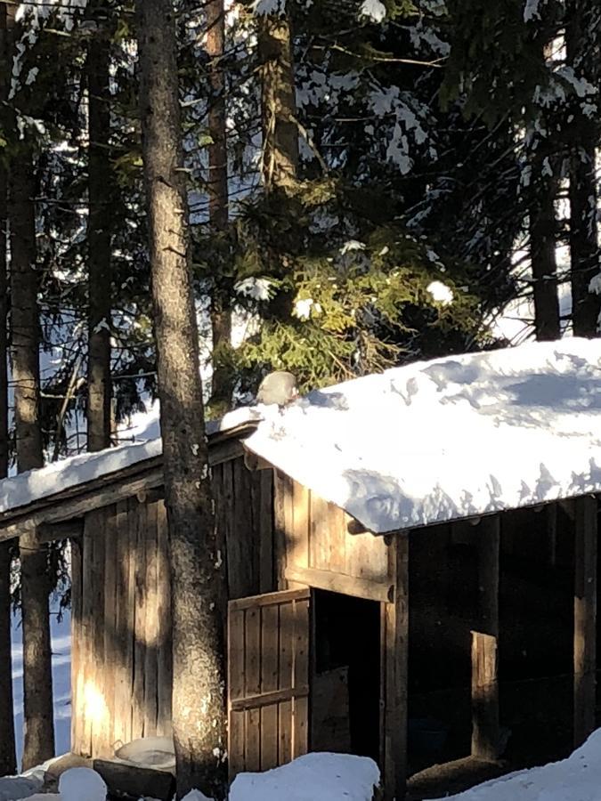 Th Borca Di Cadore - Park Hotel Des Dolomites Zewnętrze zdjęcie